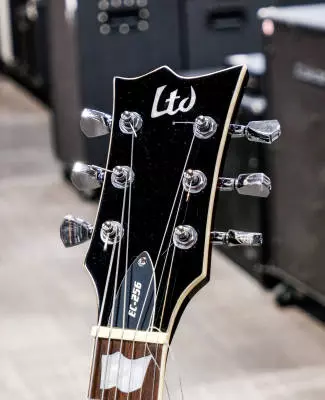 ESP Guitars - LTD EC-256FM - Dark Brown Sunburst 2